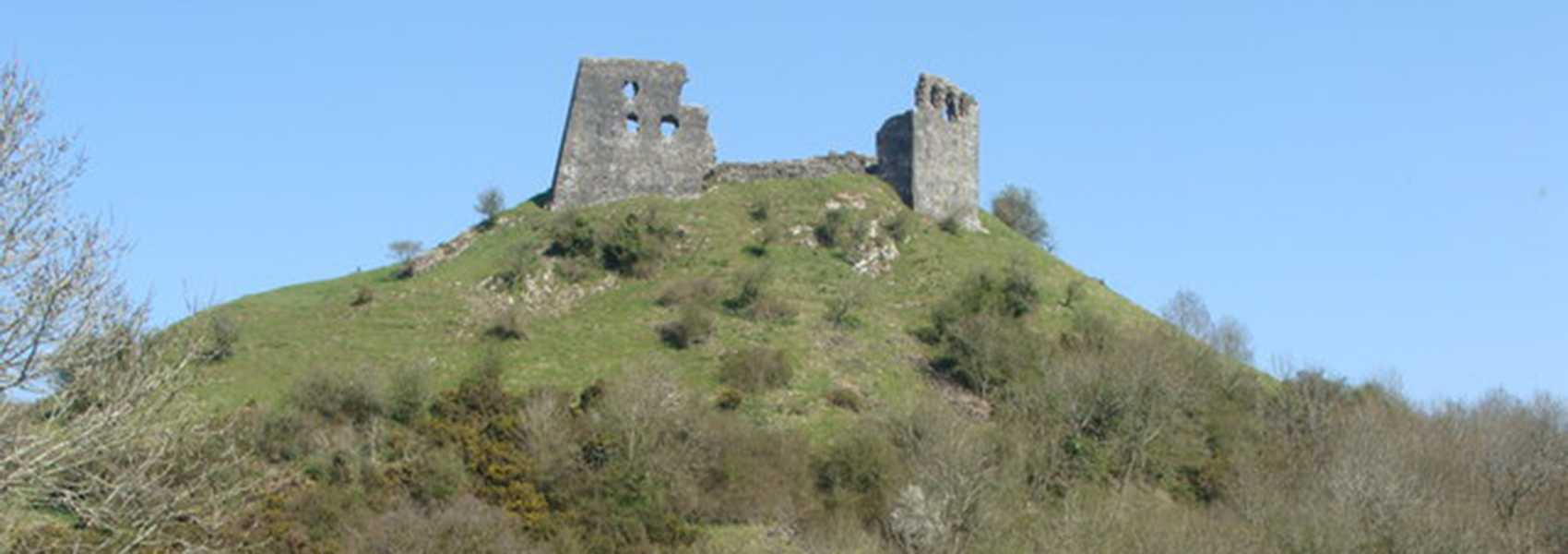 Dryslwyn Castle by Ruth Shareville