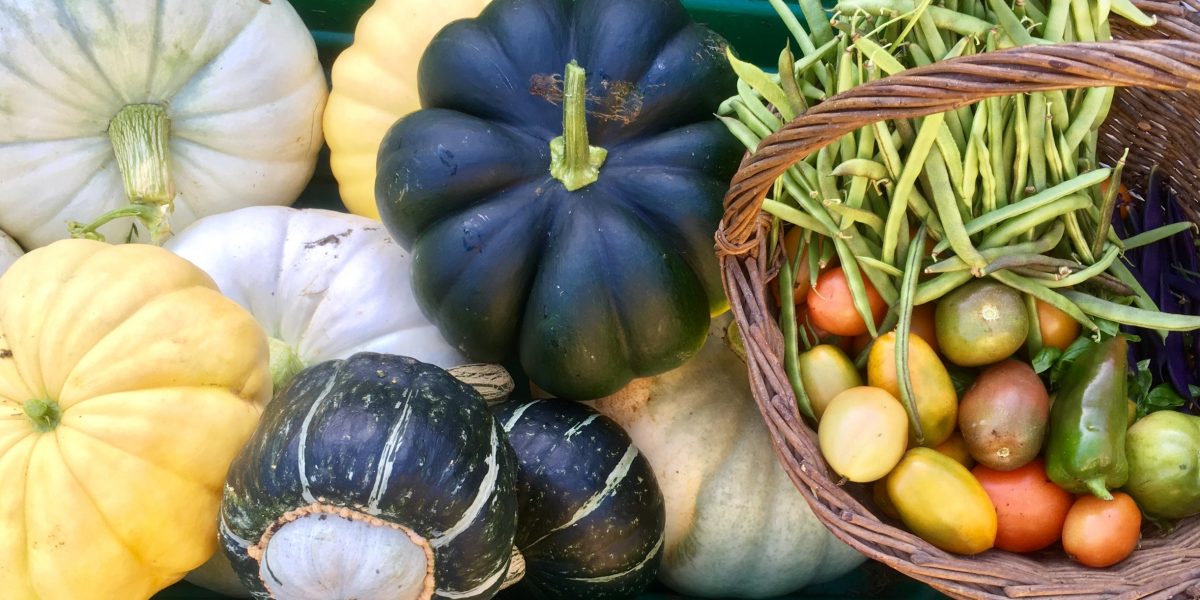 Community garden crop
