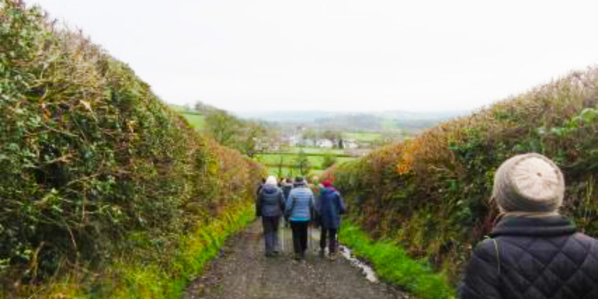 Walking Well walkers in Llansadwrn